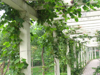 ̫�O��˾���@һ��