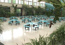 ��ͬ�r(sh��)�ݼ{500�˾Ͳ͵������B(t��i)�͏d