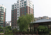 ̫�O�����w��(x��)��̫�Oȭ