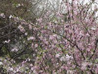 ̫�O�²����O(sh��)�乫˾���쾰ɫ