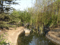 ̫�O�²����O(sh��)�乫˾���쾰ɫ