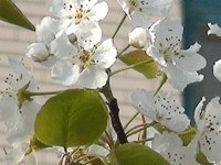 ̫�O��@��ɫ��̫�O�²����O(sh��)�乫˾